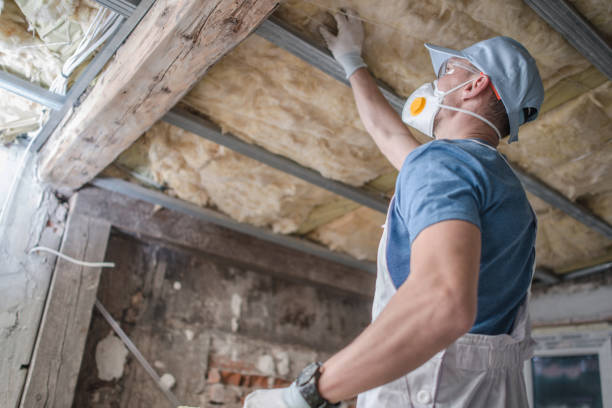 Best Specialty Insulation in Conway, AR