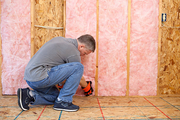 Best Commercial Insulation in Conway, AR